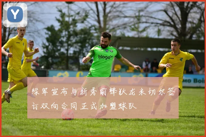 绿军宣布与新秀前锋狄龙米切尔签订双向合同正式加盟球队