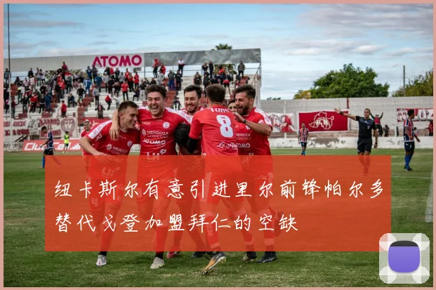 纽卡斯尔有意引进里尔前锋帕尔多替代戈登加盟拜仁的空缺
